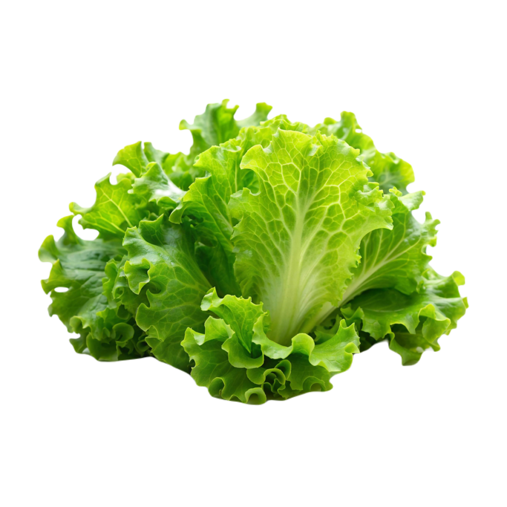 lively-lettuce-hydro-valley