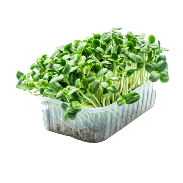 Magical Microgreens (50g)